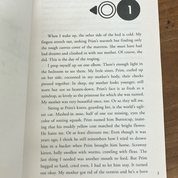 The Hunger Games by Suzanne Collins - Picture 5 of 8